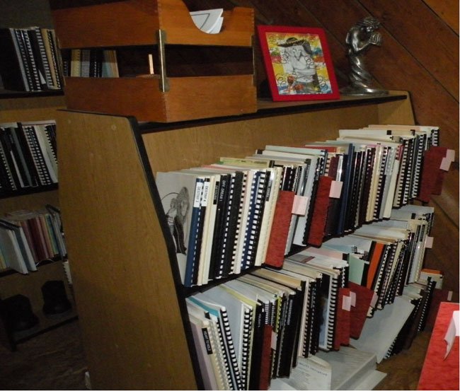 shelves of zines