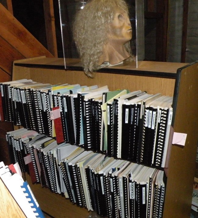 shelves of zines