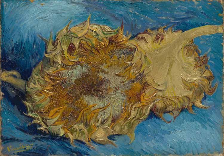 Van Gogh's Two Cut Sunflowers painting, Paris, 1917