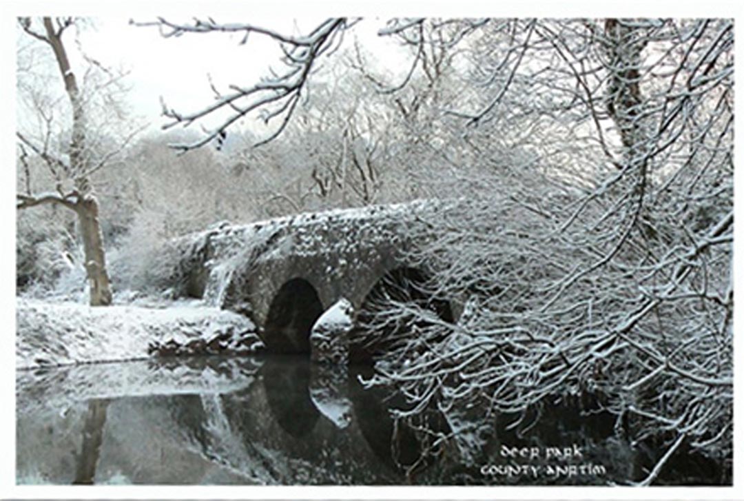 a snowy bridge in Deer Park, County Antrim